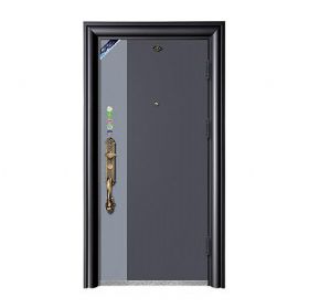 高端合金防盗门系列ADS-009心心相印-甲级10cm