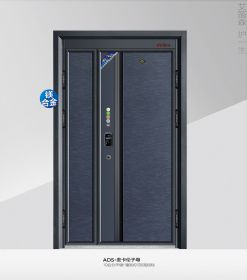 2021新品ADS-麦卡伦子母