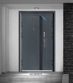 2021新品ADS-唯我独尊子母