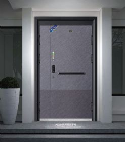 2021新品ADS-状元及第子母